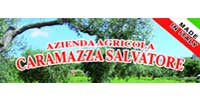 Logo Caramazza