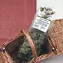 Oregano in bunch from Sicily, S. Caramazza 50g